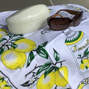 Coach Sunglasses and Case